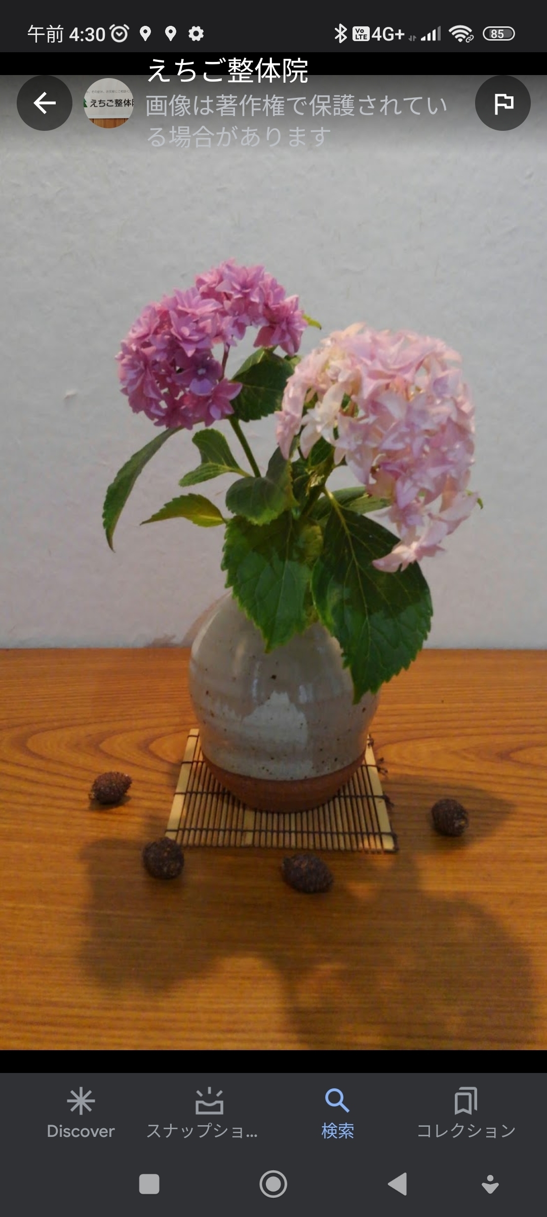 玄関に飾ったアジサイ