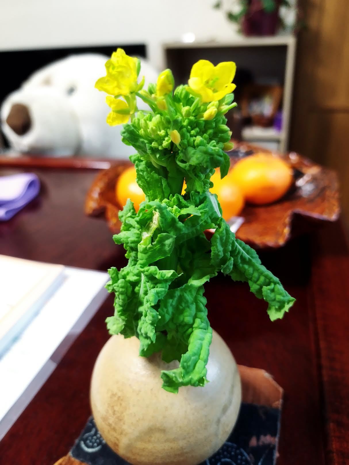 咲いた菜花